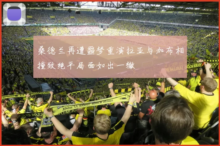 桑德兰再遭噩梦重演拉亚与加布相撞致绝平局面如出一辙